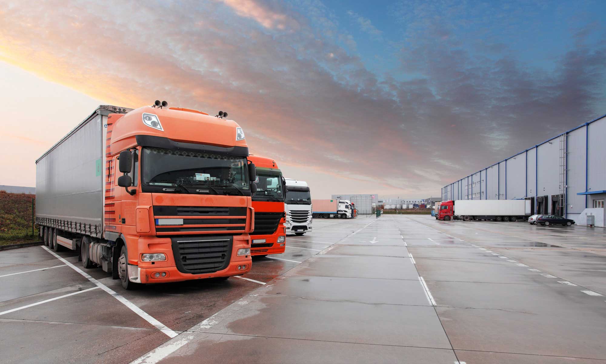 amarsons packers movers