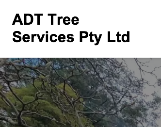 ADT TREE SERVICES PTY LTD