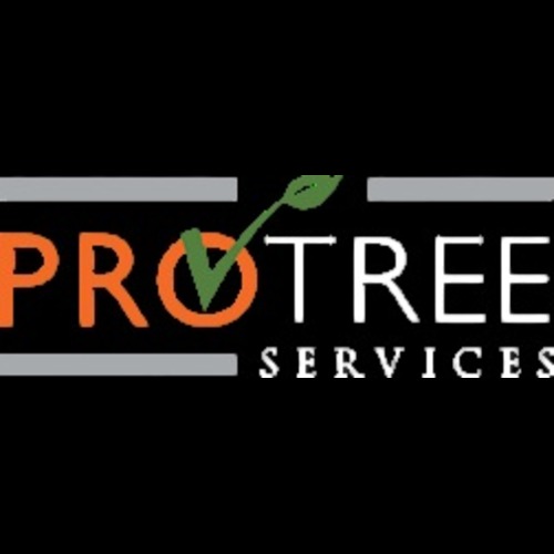Pro Tree Services LLC