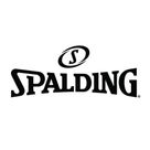 Spalding New Zealand