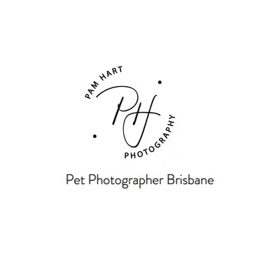 Photography and Consultancy