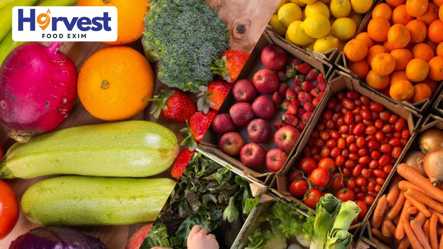 Harvest Food Exim l Fruits and Vegetables Exporter in India