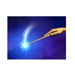 garage organization ormond beach