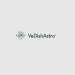 VeDishAstro