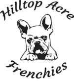 Hilltop Acre Frenchies