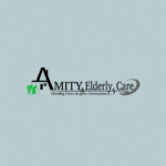 Amity Elderly Care Services LLC