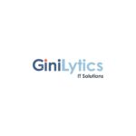 GiniLytics IT Solutions