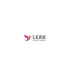 Leak Content Removal