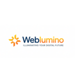 Affordable Website Design Company India – Weblumino LLP