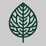 Maarte USA LLC