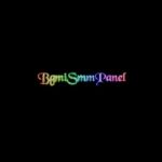 BGMI SMM Panel