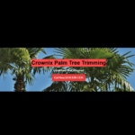 Crownix Palm Tree Trimming