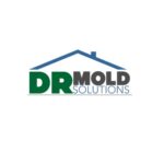 DR Mold Solutions