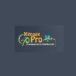 Go Pro Cleaning