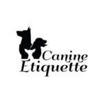 puppy socialization classes plymouth ma