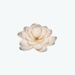 Lotus @ Queensway Medical