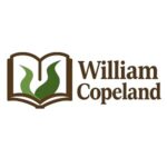 biblical fiction novel