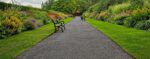 Hesko Landscaping - Lawn Mowing & Gardening